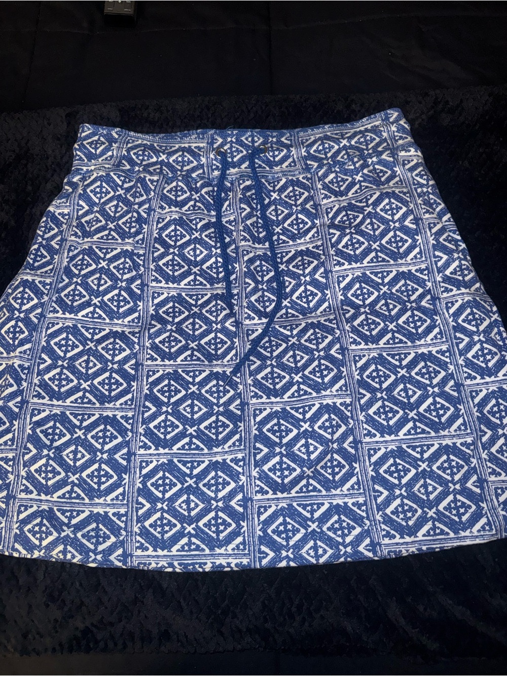 Blair Blue and White A-Line Printed Skirt
